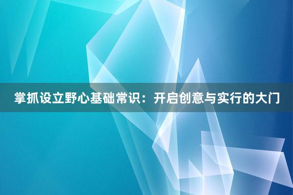 掌抓设立野心基础常识：开启创意与实行的大门